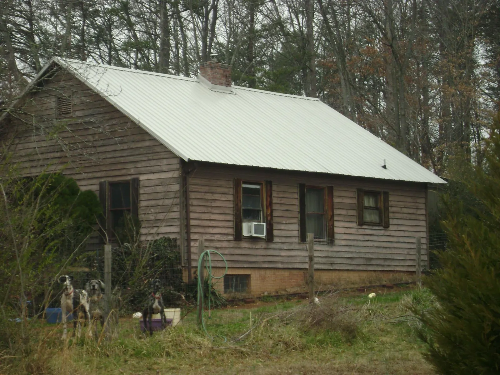 White metal roof on an old wood sided farmhouse, from a Asphalt Shingle Roof Repair job in Mosby
